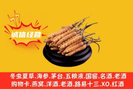 锡林郭勒镶黄旗回收冬虫夏草